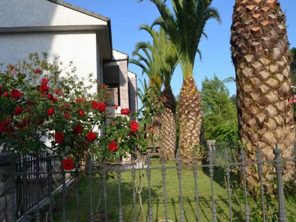 Apartamentos Las Palmeras Cangas de Onis Exterior photo